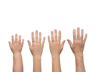 Obraz premium Generations: Hands Across a Lifetime, Rings