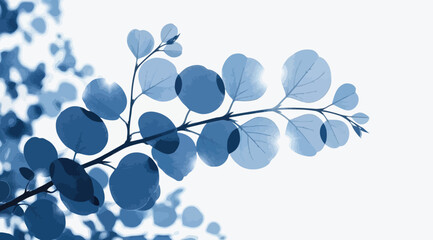 Blue eucalyptus leaves branch illustration © S.Siam