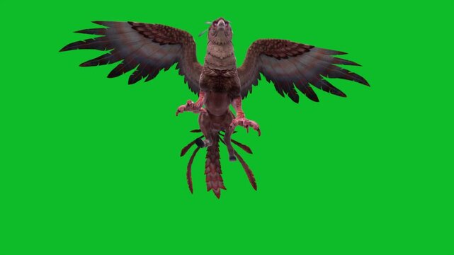 Green Screen Griffin Attack Loop Mythological Creature 3D Animation CGI Rendering 4K