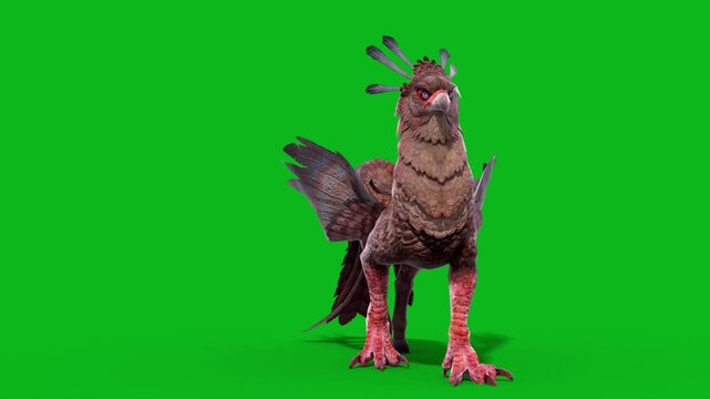 Green Screen Griffin Walks Front Mythological Creature 3D Animation CGI Rendering 4K