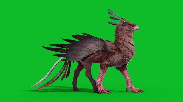 Green Screen Griffin Walkcycle Loop Side Mythological Creature 3D Animation CGI Rendering 4K