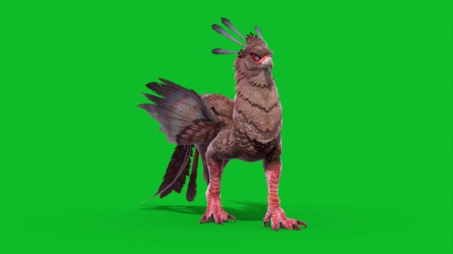 Green Screen Griffin Walkcycle Loop Mythological Creature 3D Animation CGI Rendering 4K
