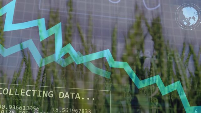 Vertical video: Wheat filling frame, HUD showing COLLECTING DATA starting agritech readouts, graphs