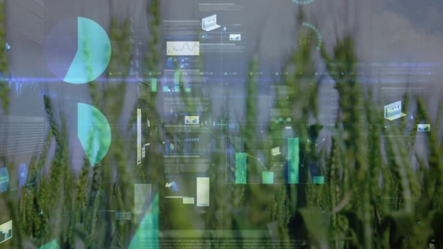 Vertical video: Sensors starting HUD over farm, person scanning crops, charts rising tracking yield