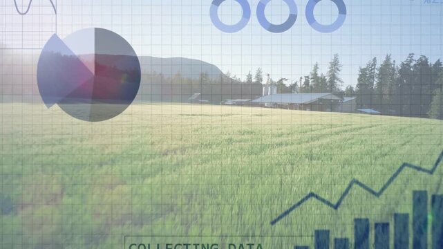 Sunlit farm getting grid overlay causing data flow, charts growing into analysing for crop insight