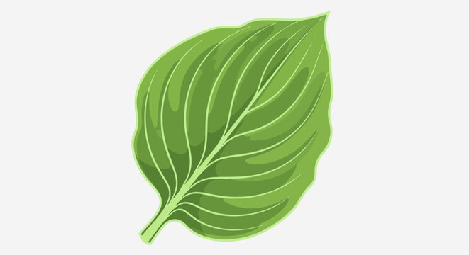 A detailed illustration of a single, bright green leaf with prominent veins