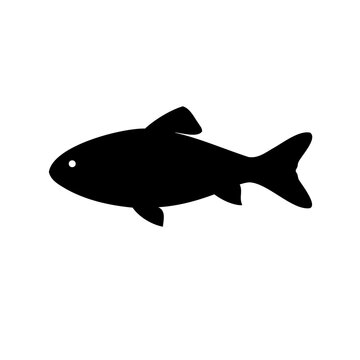 Simple minimalistic black silhouette of a fish on a white background