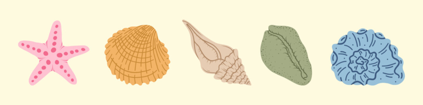 Sea shells set, mollusks, starfish. Trendy flat illustration of seashells collection isolated on white for stickers.