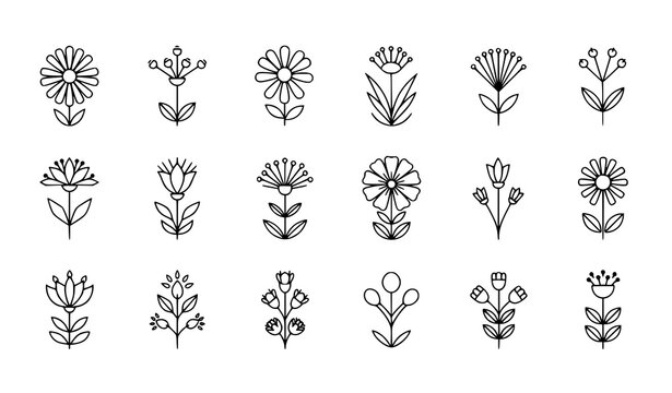 Modern Thin Line Wildflower Set of 12 Elegant Botanical Icons Minimal Floral Vector Collection on White Background
