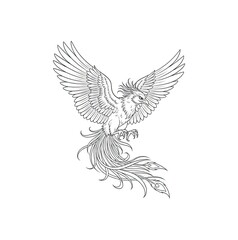 Obraz premium Fierce phoenix with open wings poised to strike, detailed outline drawing symbolizing power and rebirth