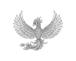 Fototapeta premium Phoenix with spread wings, ornate tail, line art for coloring book, mythical creature