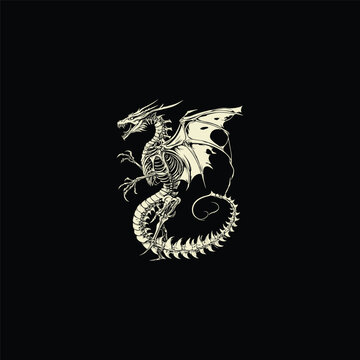 dragon skeleton illustration featuring wings and sharp claws