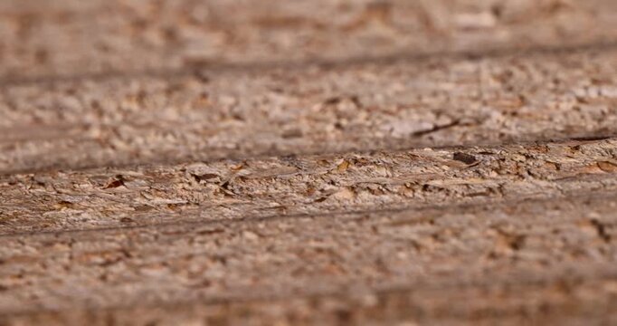 The chipboard is stacked, the ends of the   chipboard are pressed into even rows with a visible chip structure under warm light with clear details and organic texture.