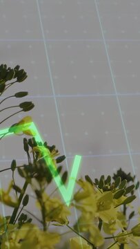 Vertical video: Neon-green trace appearing from left, sweeping across yellow stalk, showing growth
