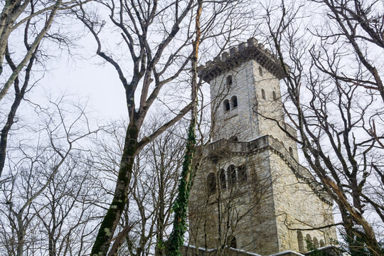 View of the tower among bare winter trees