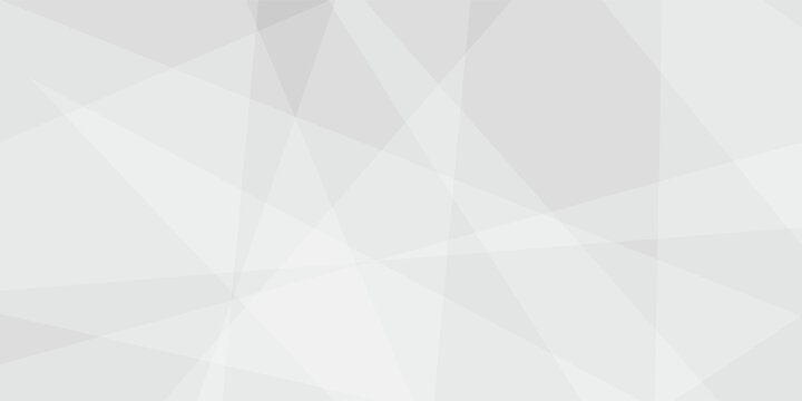 Abstract background with white and gray and geometric style with simple lines and corners, polygons as background geometric style with simple lines and corners, polygons as background paper texture