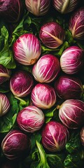 Obraz premium Vibrant Macro Still Life of Radicchio with Scarlet and White Textures on Lush Green Leavescape