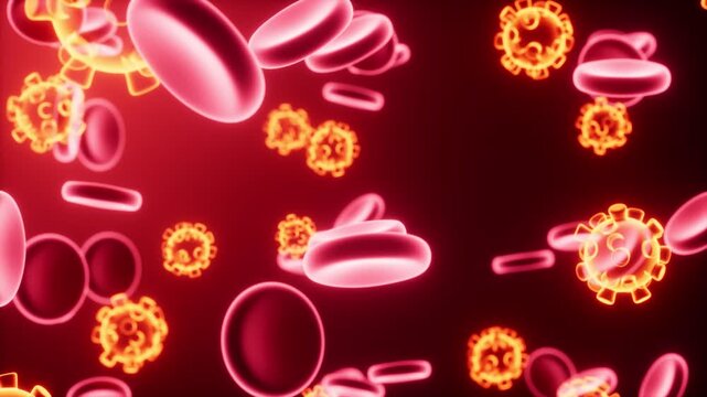 Microscopic view of virus particles interacting with red blood cells, representing infection, immune response, and disease spread in the human body.