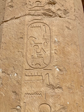 egipto jerogl&iacute;fico escritura del antiguo egipto  labrada en la pared de una tumba el cairo IMG_0802-as26