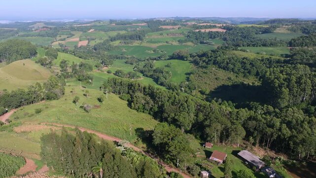 Drone ascent over mixed farmland with corn, green fields, native forest and eucalyptus.
