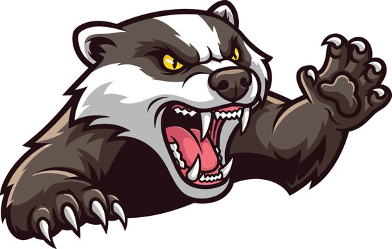 An angry badger roaring ferociously with sharp claws extended.
