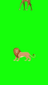 Wild Animals cartoon animation on green screen.