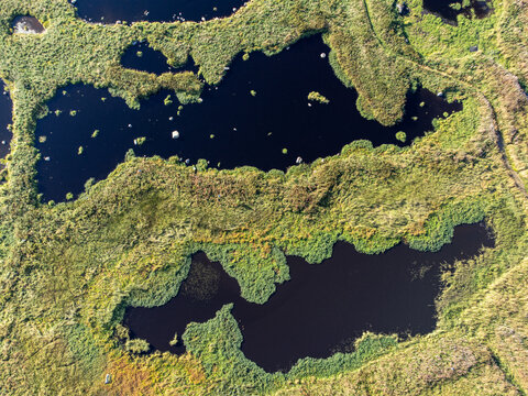 Aerial view of dark waters reflecting the sky, surrounded by vibrant green and brown marshland, creating a mesmerizing mosaic of nature, Marmelkroken, Nordland, Norway.