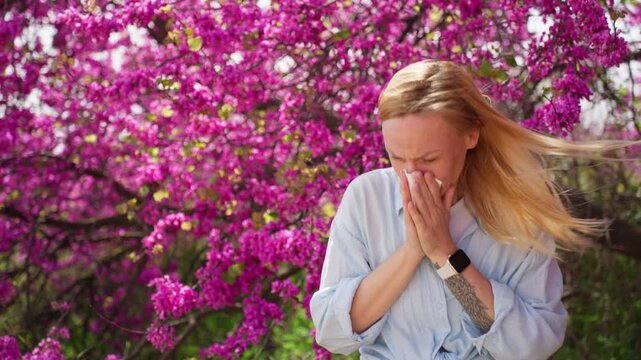 Allergic woman sneezing and suffering from seasonal allergies, hay fever and pollen allergy with background of blooming purple judas trees in spring garden.Concept of hay fever, spring health issues