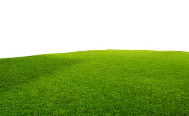 Fototapeta premium Green grass texture field isolated on white background