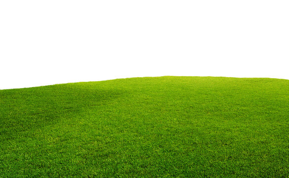 Green grass texture field isolated on white background