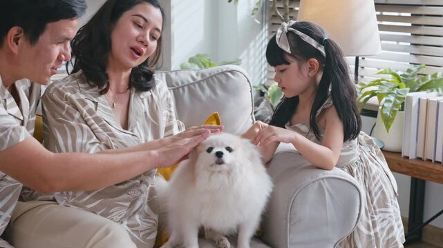 Happy Asian family bonding and petting their cute small white Pomeranian dog on the sofa in their modern living room.