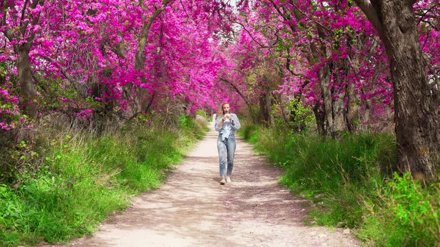 Woman with spring blossom allergy walk on blooming park path, sneezing from pollen among magenta flowers on trees, experiencing hay fever symptoms.Spring allergy and hay fever concept