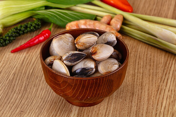 Raw fresh wild clams mollusc © Andrei Starostin