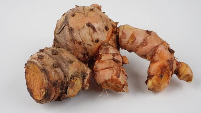 Handheld Shot of Javanese Turmeric or Curcuma xanthorrhiza Isolated on White Background