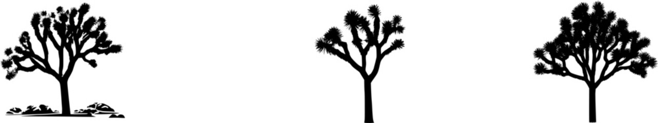 Obraz premium A solitary Joshua tree stands stark against a pristine white background, its spiky branches and desert leaves illuminated by bright studio lighting in an 8k ultra-sharp image with naturalistic