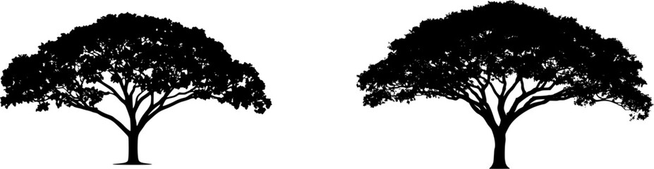 Fototapeta premium A solitary Walnut tree stands isolated on a pure white background, its broad canopy casting deep shade against the stark contrast of its textured bark, all captured in an 8k ultra-sharp image with