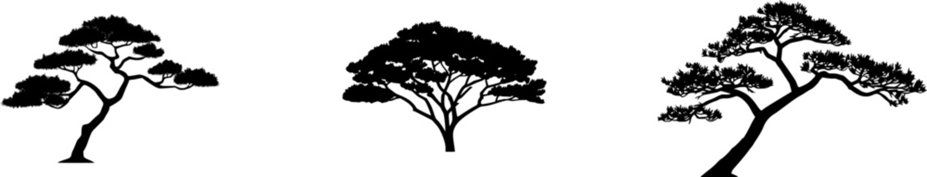 A highly detailed, photorealistic image of a solitary Pitch Pine tree, isolated on a pure white background with irregularly twisted branches and unusual tufts of green needles, captured in bright