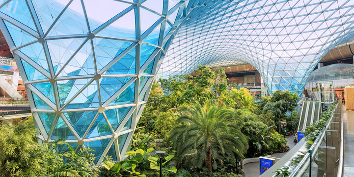 2 December 2025, Doha, Qatar: Lush green garden Orchard thriving inside a modern glass dome in Hamad Airport