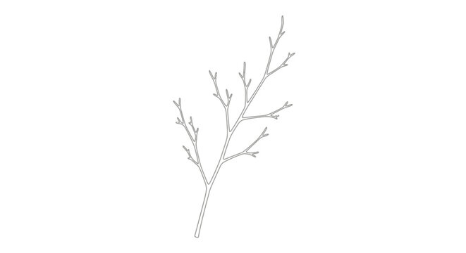 Dried dead tree branch only.