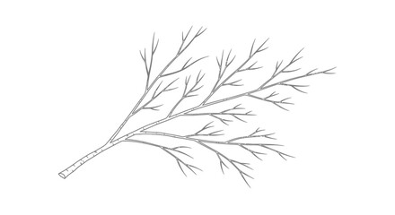 Obraz premium Detailed illustration of a plant branch.