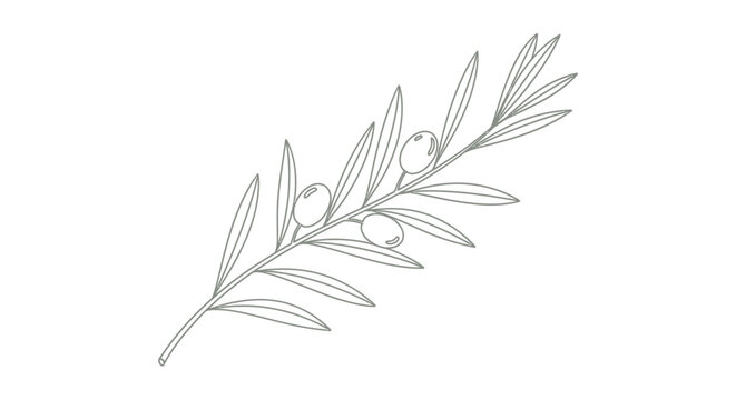 Detailed illustration of olive branch.