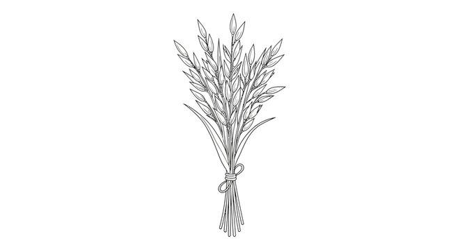 Dried Herbs Tied in Bunch.