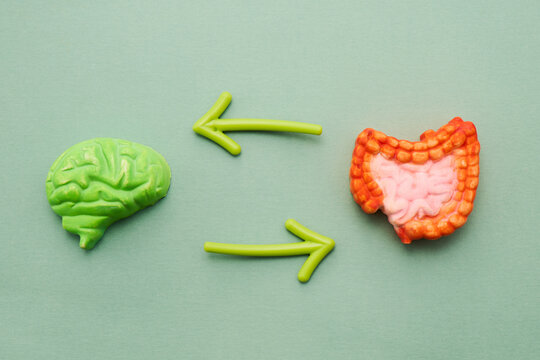 Mental Health Awareness Month. Gut brain axis connection influencing mental health