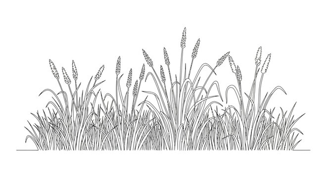 Detailed illustration of cattail plants.