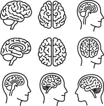 Minimalist Human Brain and Head Silhouette Vector Icons Set