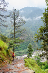 A lone hiker walking on a scenic mountain trail surrounded by lush greenery and a serene river Madhyamaheshwar temple, Uttarakhand, india © 3 Travelers