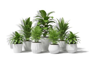 Fototapeta premium Collection of potted tropical plants arranged in a modern indoor setting