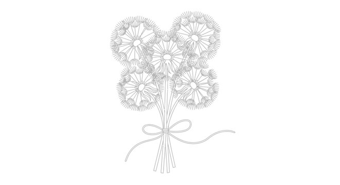 Bouquet of white flowers tied together.