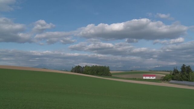 北海道・美瑛の丘_Rolling Hills of Biei, Hokkaido