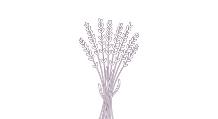 Fototapeta premium Bundle of white flower branches.